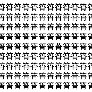 【脳トレ】「筲」の中に紛れて1つ違う文字がある！？あなたは何秒で探し出せるかな？？【違う文字を探せ！】