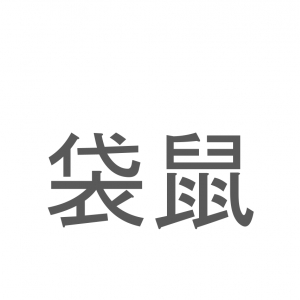 【読めたらスゴイ！】「袋鼠」とは一体何のこと！？ぴょんぴょんジャンプするあの動物をあらわすこの漢字を読めますか？