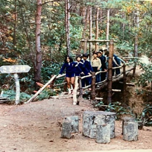 半世紀にわたり地域に親しまれてきた学校の裏山 「松ヶ丘教育の森」の大規模整備を実施