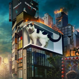 『クワイエット・プレイス：DAY1』物語の“キーにゃん”猫のフロドが新宿に出現？！　激カワ動画も到着！