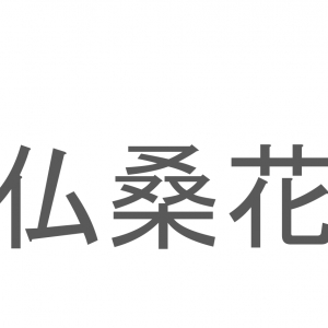 【読めたらスゴイ！】「仏桑花」とは一体何のこと！？南国のイメージの強いある植物の事ですが・・、この漢字を読めますか？