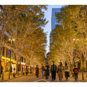 【和歌山県和歌山市】今年は100万球のイルミネーション設置を計画中！11月に「けやきライトパレード」開催