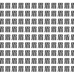 【脳トレ】「眉」の中に紛れて1つ違う文字がある！？あなたは何秒で探し出せるかな？？【違う文字を探せ！】