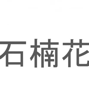 【読めたらスゴイ！】「石楠花」とは一体何のこと！？赤い大輪な花を咲かせる植物の事ですが・・この漢字を読めますか？