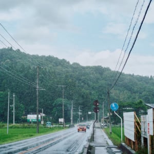 【福島県旧大信村(白河市)】町屋の二本カヤに出会い、土砂降りの雨が降る