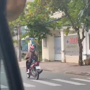 バイクの運転手に執拗に絡んでいるオウム。ヘルメットが気になって仕方がない？？【海外・動画】