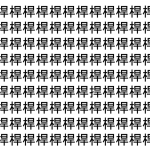 【脳トレ】「桿」の中に紛れて1つ違う文字がある！？あなたは何秒で探し出せるかな？？【違う文字を探せ！】