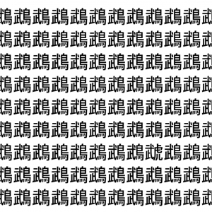 【脳トレ】「鵡」の中に紛れて1つ違う文字がある！？あなたは何秒で探し出せるかな？？【違う文字を探せ！】