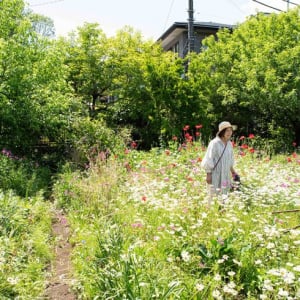 東京の個人宅、1000坪の「秘密の花園」をいつでも公開！ 親子3世代でつなぐ庭の日常にベーカリーカフェも　森田オープンガーデン・小平市