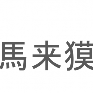 【読めたらスゴイ！】「馬来獏」とは一体何のこと！？体の色と模様が特徴的な動物のことですが・・・この漢字を読めますか？