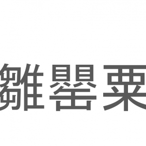 【読めたらスゴイ！】「雛罌粟」とは一体何のこと！？心の平穏・いたわり・恋の予感といった花言葉がある春の花のことですが・・・この漢字を読めますか？