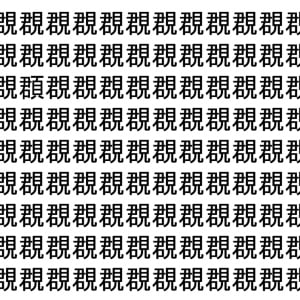 【脳トレ】「覠」の中に紛れて1つ違う文字がある！？あなたは何秒で探し出せるかな？？【違う文字を探せ！】