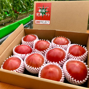日本郵便オリジナルの朝採り完熟トマト発売！爽やかながら甘く濃厚な味わいを食卓へ