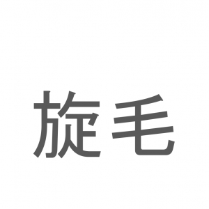 【読めたらスゴイ！】「旋毛」とは一体何のこと！？人体にもあるのですが・・・この漢字を読めますか？