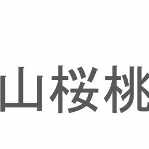 【読めたらスゴイ！】「山桜桃」とは一体何のこと！？桜や桃に似た花を咲かせる植物ですが・・・この漢字を読めますか？