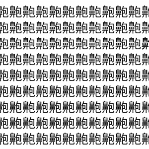 【脳トレ】「䶌」の中に紛れて1つ違う文字がある！？あなたは何秒で探し出せるかな？？【違う文字を探せ！】