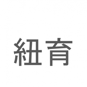 【読めたらスゴイ！】「紐育」とは一体何のこと！？世界屈指の経済都市の事ですが・・・この漢字を読めますか？