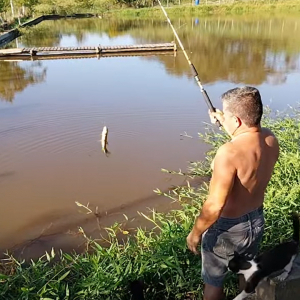 見事に魚を釣り上げた男性。その魚を狙って背後から忍び寄る影が！「あっ！この泥棒猫！！」