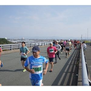 【愛知県豊橋市】「豊橋みなとシティマラソン」参加者＆530運動の50周年記念ロゴマークを募集中！