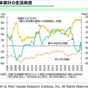 明治安田総合研究所「為替介入の意図と実質賃金の道筋」公表＿デフレからインフレへ、好循環の芽を守る観点からも「円買い介入の意義は大きい」