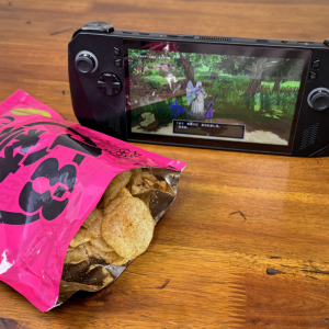 【ゲーマーの知恵袋】ニンテンドースイッチやROG Ally Xでゲームしながらお菓子食べるときはこうして食え！