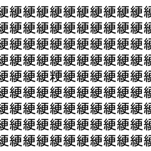 【脳トレ】「綆」の中に紛れて1つ違う文字がある！？あなたは何秒で探し出せるかな？？【違う文字を探せ！】