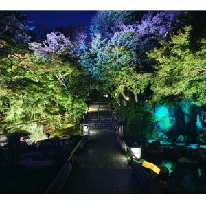 【神奈川県鎌倉市】各日70名限定の特別イベント「長谷寺 Night Table 2024」開催