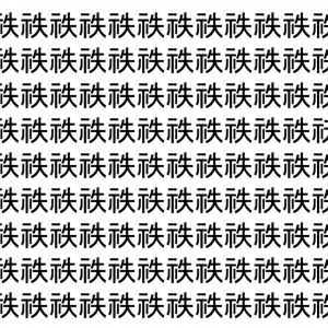 【脳トレ】「祑」の中に紛れて1つ違う文字がある！？あなたは何秒で探し出せるかな？？【違う文字を探せ！】