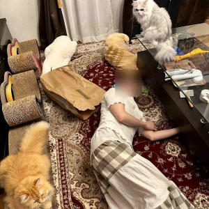 事件！？「妻が倒れてる！？」と思ったら・・、ローアングルから愛猫を眺め愛でていた！！