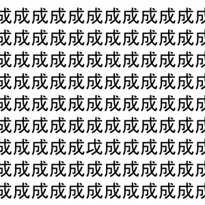 【脳トレ】「成」の中に紛れて1つ違う文字がある！？あなたは何秒で探し出せるかな？？【違う文字を探せ！】