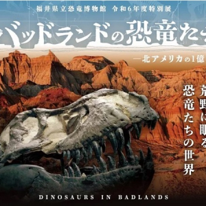 【福井県勝山市】恐竜博物館で、北アメリカの恐竜がテーマの特別展開催中！入場者10万人突破も