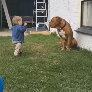 ぎゅ～！男の子から愛情たっぷりのハグに愛犬は嬉しくてウットリ【海外・動画】