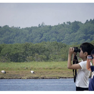 【北海道札幌市】「環境広場さっぽろ2024」に生物多様性を楽しく学べる「エゾリンク科学館」が登場