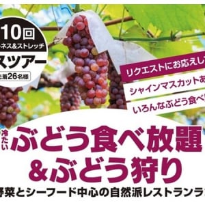 【神奈川県横浜市】フィットネス＆ストレッチ 健康の森会員限定！ぶどうを楽しめるツアー9月に開催