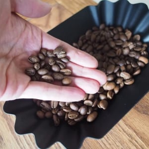 世界各地のスペシャルティコーヒー豆を販売するブランド「Yorimichi coffee」登場！