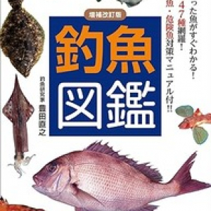 日本人の好きな魚ランキング2024