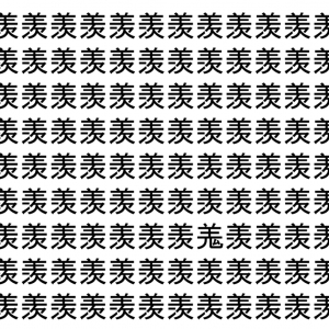 【脳トレ】「羡」の中に紛れて1つ違う文字がある！？あなたは何秒で探し出せるかな？？【違う文字を探せ！】