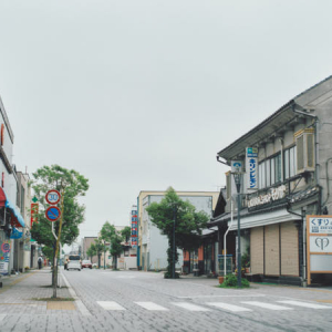 【宮城県旧中新田町(加美町)】ひっそり広がる花楽小路の町並みを歩く