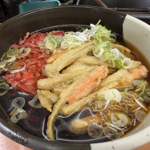 伝説の立ち食いそば屋で「極太ごぼう天蕎麦」と名物カレーを食べたんだが→ ほえ？