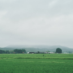 【宮城県旧小野田町(加美町)】薬莱山の近くに広がる暮らしへ