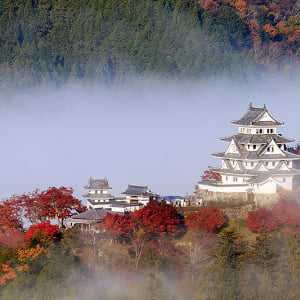 岐阜県 郡上八幡で清流長良川＆名水を全身体感！ ラフティングに川遊び、郡上おどりに藍染 郡上本染、名物グルメ＆おしゃれカフェ、昭和レトロな水郷で極上リラックス時間を！