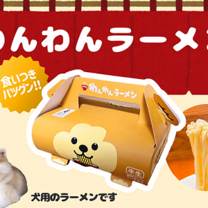 秋田犬パッケージの犬用ラーメン新発売！喜多方ラーメンの平打ち中太縮れ麺を再現