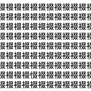 【脳トレ】「裰」の中に紛れて1つ違う文字がある！？あなたは何秒で探し出せるかな？？【違う文字を探せ！】