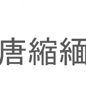 【読めたらスゴイ！】「唐縮緬」とは一体何のこと！？衣類にも使われる毛織物の一種ですが・・・この漢字を読めますか？