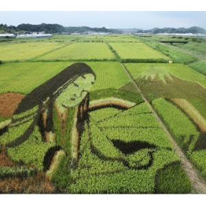 【静岡県菊川市】最優秀賞は賞金10万円！市制20周年を記念する動画コンテストを開催中