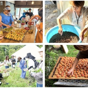 【千葉県南房総市】里山の生活を体験できるプログラム「シェア里山まるごと体験」コースの参加者募集中！