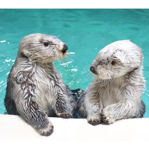 【三重県】鳥羽の宿に泊まり、鳥羽水族館のナイトアクアリウム＆冬の花火が楽しめるプラン登場！