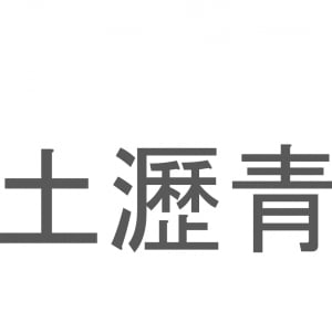 【読めたらスゴイ！】「土瀝青」とは一体何のこと！？道路の舗装などに用いられますが・・・・この漢字を読めますか？