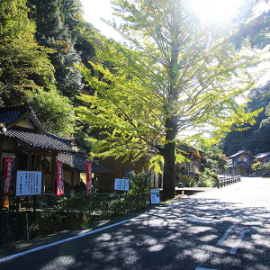 島根への旅、9月は注目フェスがいっぱい！ 温泉＆海で神楽  いちじく＆地元グルメ特売 ご当地キャラ大集結！