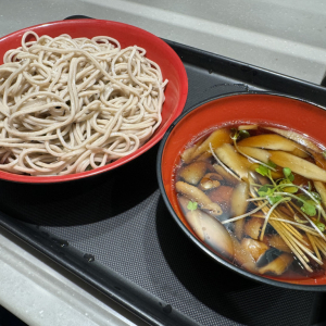 酔いながら名代富士そばの「鶏油香る鳥ごぼうつけそば」を食べた結果